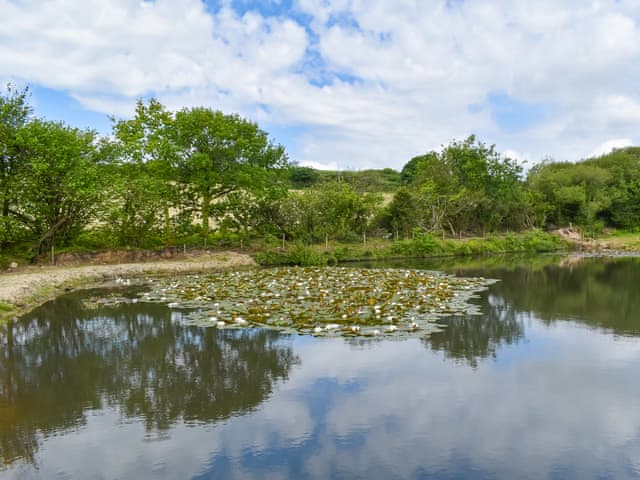 Surrounding area | Dairy Cottage - Tor View Cottage Holidays, Trebell Green, near Bodmin