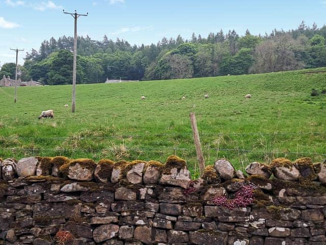 View | Railway Cottage, Stanhope, near Bishop Auckland