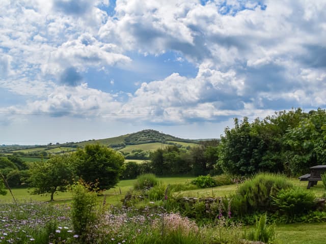 View | The Old Workshop - Tor View Cottage Holidays, Trebell Green, near Bodmin