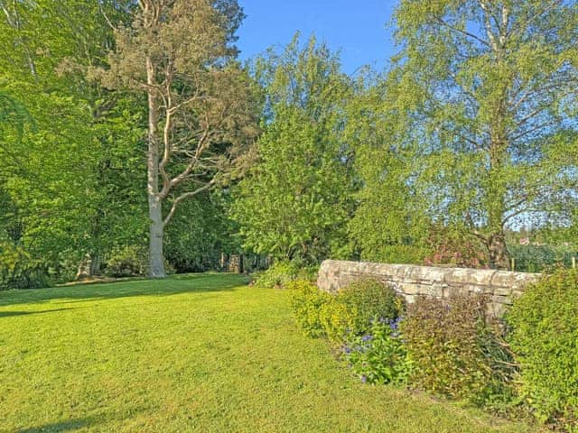 Large lawned garden leading to private woodland | Fallodon Burnhouses, near Beadnell