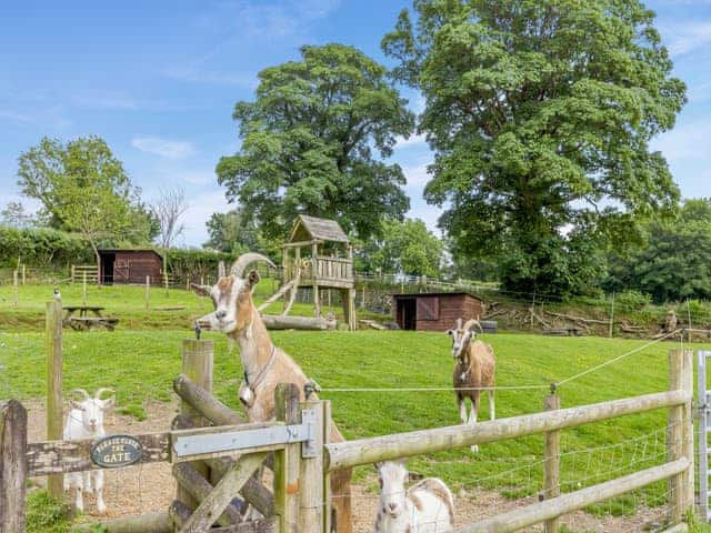 Setting | The Farmers Den, Lydford, near Okehampton