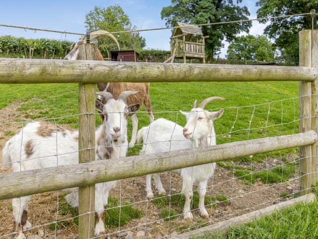 Setting | The Farmers Den, Lydford, near Okehampton