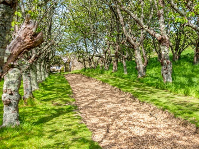 Surrounding area | Willow Yurt - Walnut Farm, Beaminster