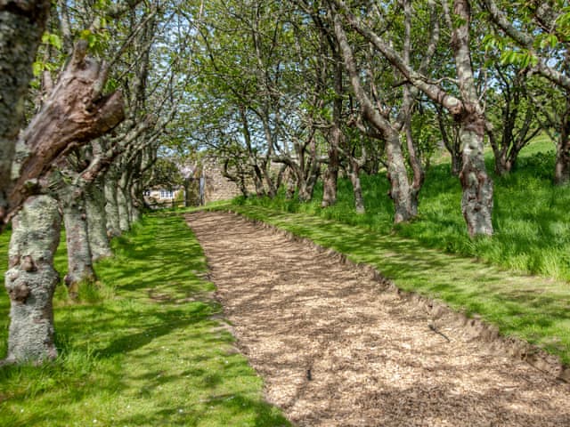 Surrounding area | Skylark Yurt - Walnut Farm, Beaminster