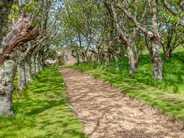 Surrounding area | Mistle Roundhouse - Walnut Farm, Beaminster