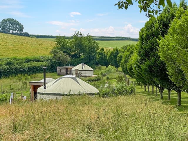 Surrounding area | Bracken Yurt - Walnut Farm, Beaminster