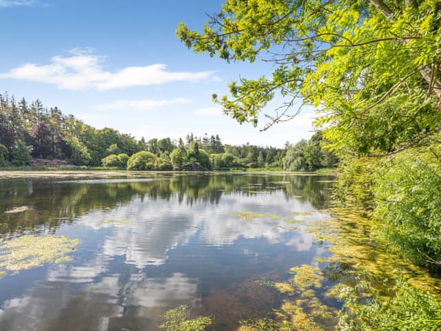 Surrounding area | Swinney Cottage - Doxford Cottages, Doxford, near Embleton