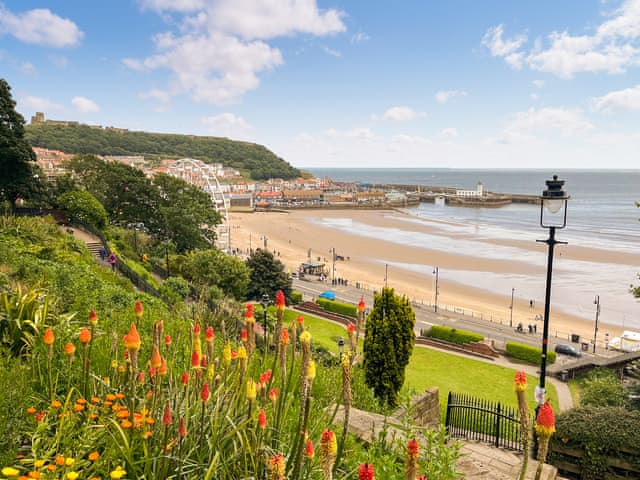 Surrounding area | The Rise, Scarborough