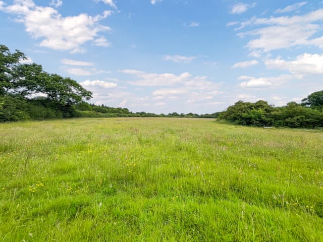 View | Water Vole - Moat Farm Glamping, Shadoxhurst, Ashford