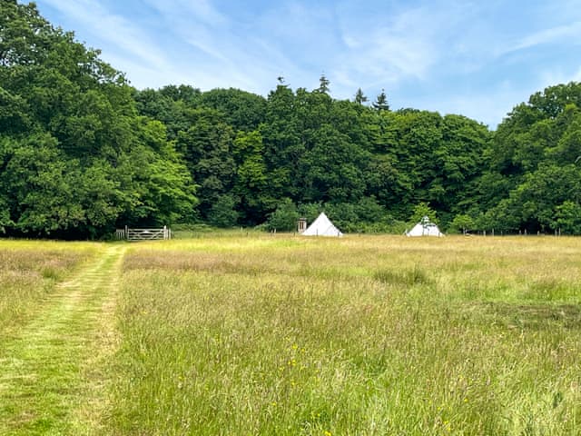 Setting | Barn Owl - Moat Farm Glamping, Shadowhurst, near Ashford