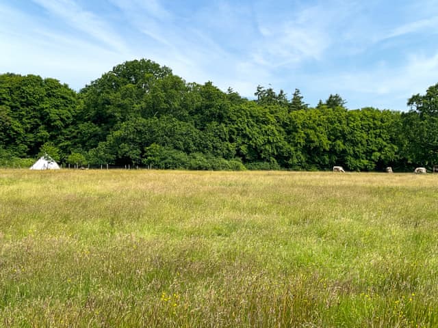 Setting | Barn Owl - Moat Farm Glamping, Shadowhurst, near Ashford