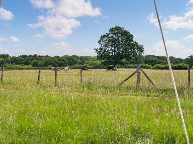 Surrounding area | Barn Owl - Moat Farm Glamping, Shadowhurst, near Ashford