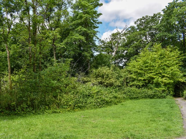 Garden | 5 The Glade, Bude