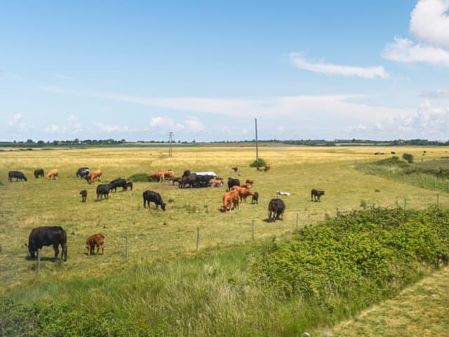 Outdoor | Humperdink, St Osyth, near Clacton on Sea