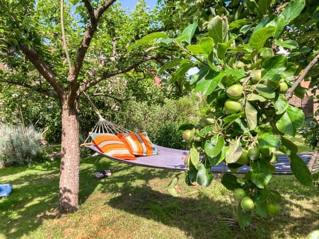 relax in the hammock between apple trees | Simpers Drift, Great Glemham, near Framlingham