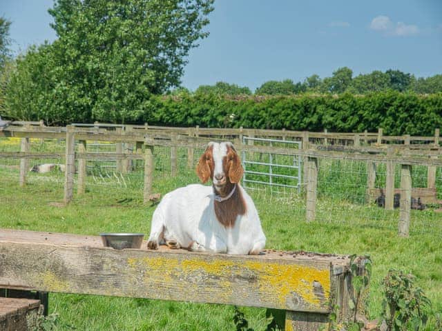Surrounding area | Cowslip Cottage - Clapham Holme Farm Cottages, Great Hatfield, near Hornsea