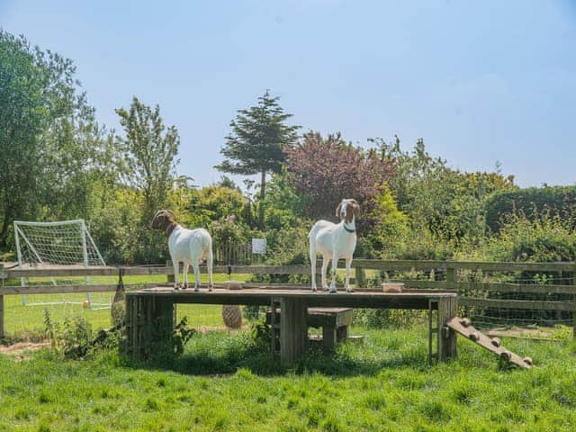 Surrounding area | Cowslip Cottage - Clapham Holme Farm Cottages, Great Hatfield, near Hornsea