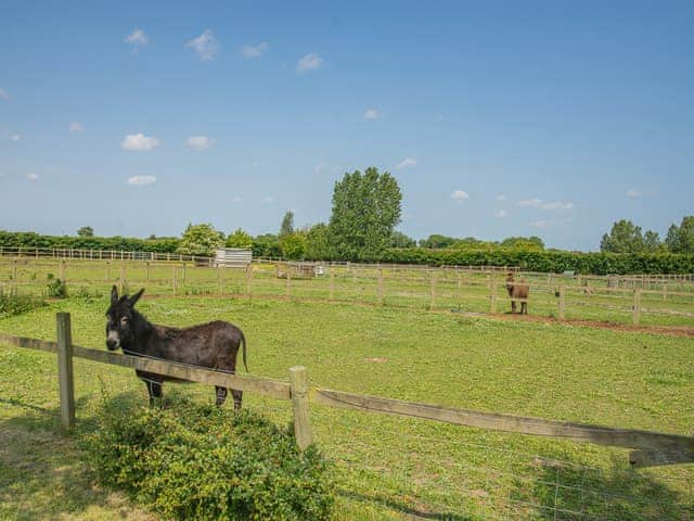 Surrounding area | Cowslip Cottage - Clapham Holme Farm Cottages, Great Hatfield, near Hornsea