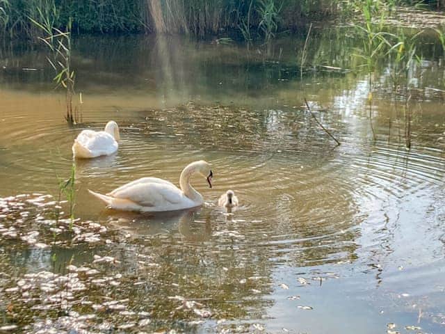 Surrounding area | Willow Lodge, Boys Hill, near Sherborne