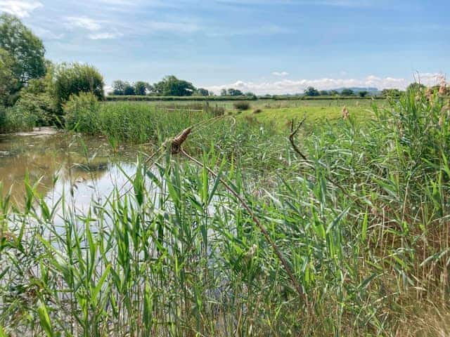 Surrounding area | Willow Lodge, Boys Hill, near Sherborne