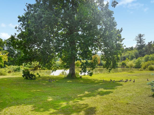 Surrounding area | Oak Park Two - Oak Park Lakes, Tiverton