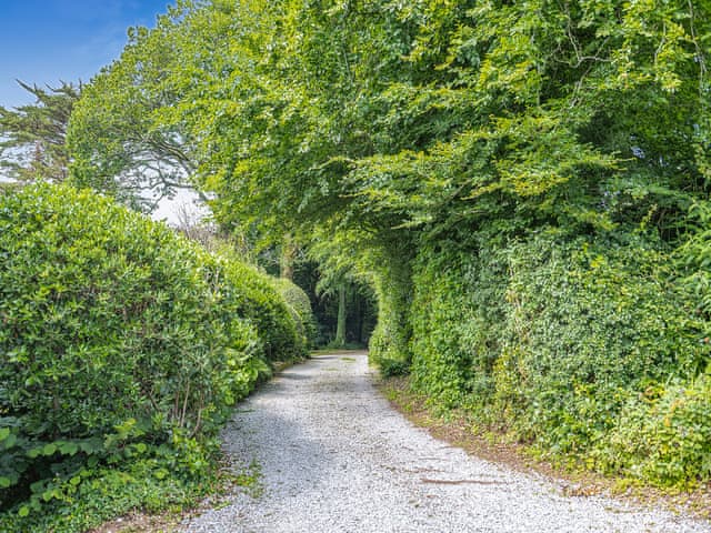 Surrounding area | Gamekeepers Hide, Ivybridge