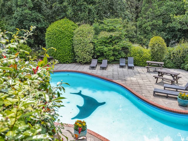 Surrounding area | Gamekeepers Hide, Ivybridge