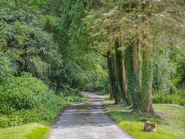 Surrounding area | Gamekeepers Hide, Ivybridge