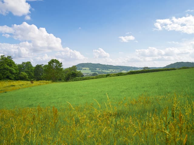 Surrounding area | Shippen - Boswell Farm, Sidmouth