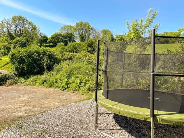 Activity | Great Horner, Halwell, near Totnes