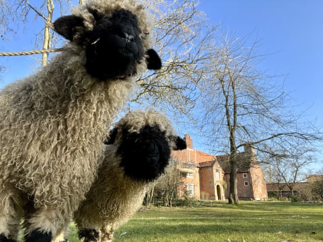 Exterior | Sparrow Green Farm Cottage - Sparrow Green Farm, Sparrow Green, near Dereham