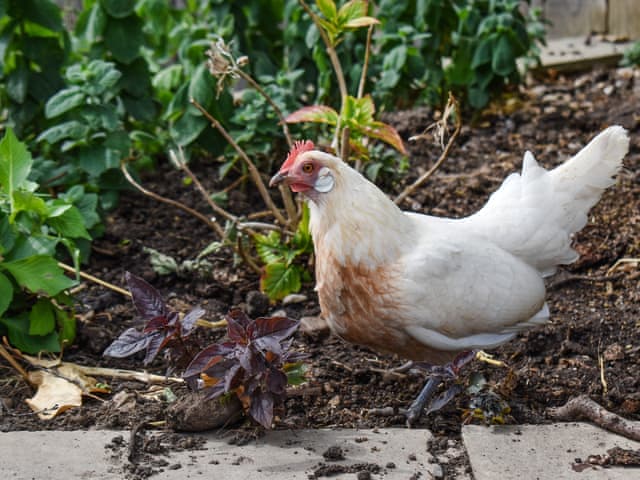 Surrounding area | Cowslip Cottage, Levisham near Pickering