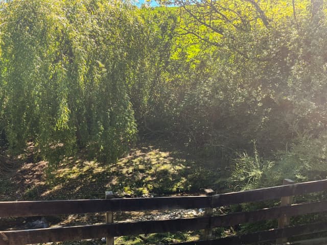 Outdoor | Maple Leaf Cottage, Padstow