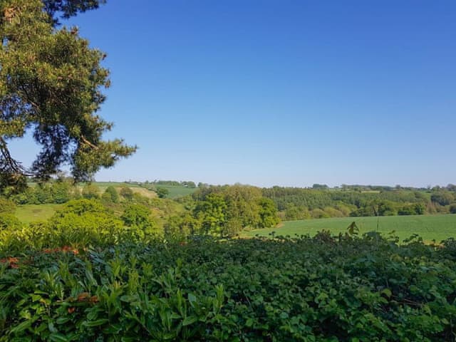 Surrounding area | Brigand - Furley Cottages, Membury, near Axminster