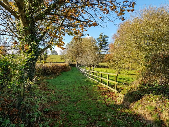 Surrounding area | Boxkite - Furley Cottages, Membury, near Axminster