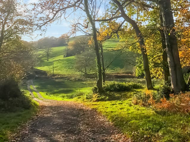 Surrounding area | Brabazon - Furley Cottages, Membury