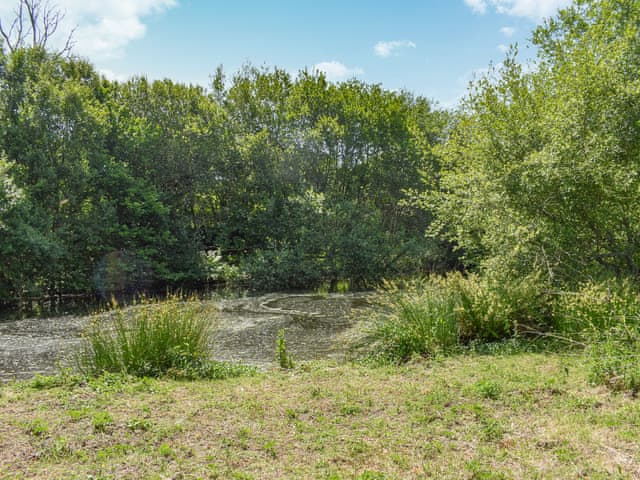 Surrounding area | Shire Cottage - Liskeard Retreats, Liskeard