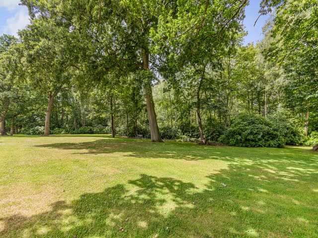 Garden and grounds | The Barn - Whitmoor Farm, Woking, near Guildford