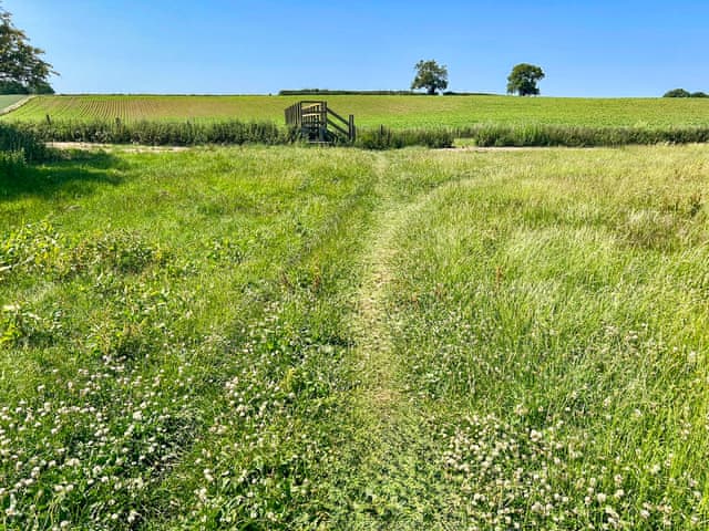 Beautiful countryside, we are a Dog friendly cottage | Ash Cottage, Tollerton, near York