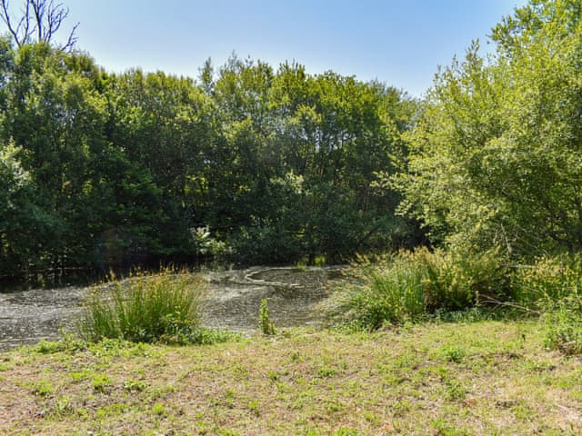 Surrounding area | Byre Cottage - Liskeard Retreats, Liskeard