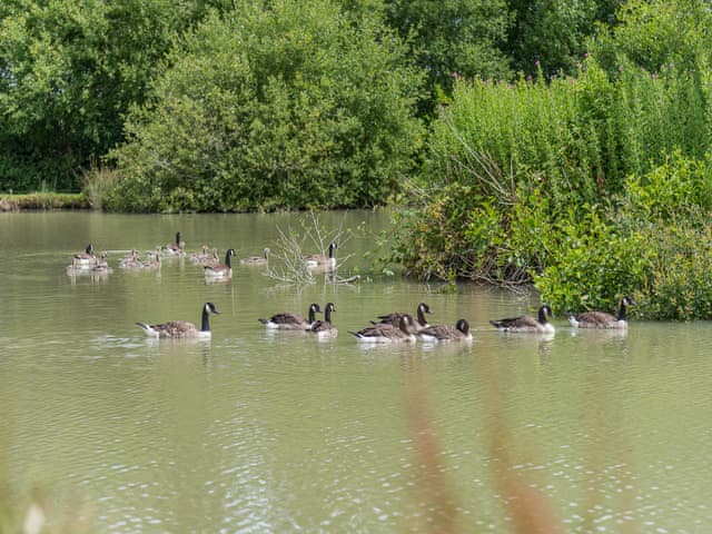 Surrounding area | Jasmine - The Victorian Barn, Blandford Forum