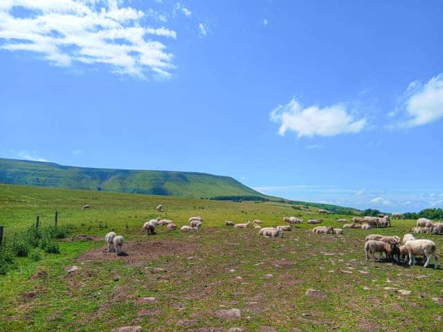 Come and explore our fabulous countryside, rural Herefordshire at its best | East View Farm : Badgers Den - East View Farm, Westbrook