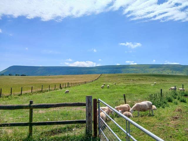 Surrounding area | East View Farm : Badgers Den - East View Farm, Westbrook