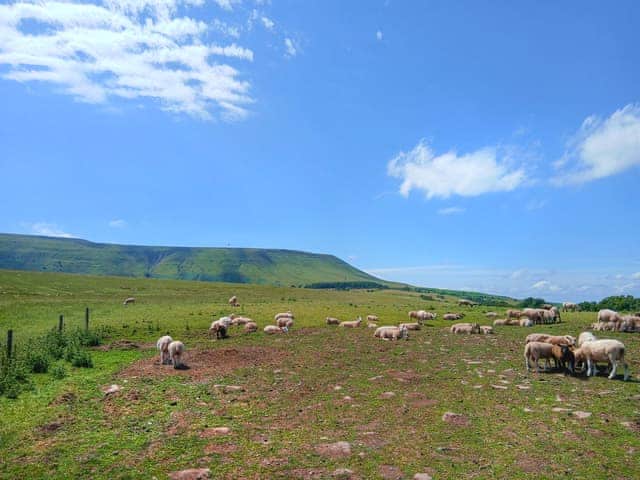 Come and discover rural Herefordshire at its best, fabulous scenery everywhere you look | Horsecroft - East View Farm, Westbrook