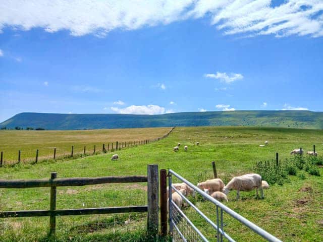 Surrounding area | Horsecroft - East View Farm, Westbrook