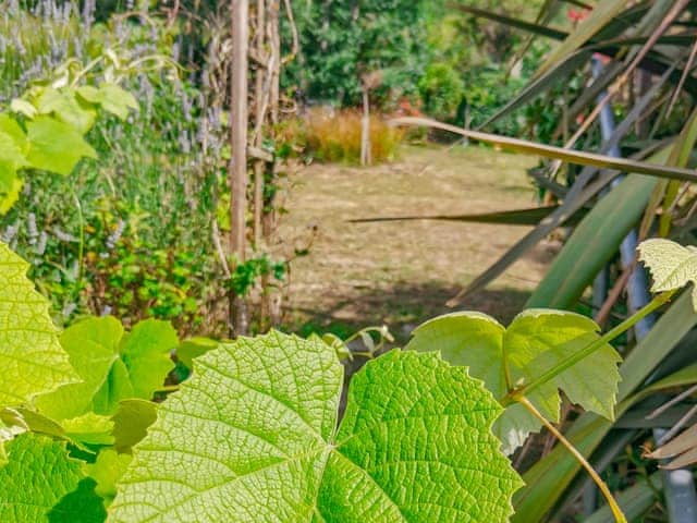 Garden | Littlehaven, Ventnor