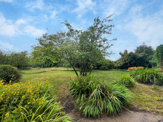 Garden | Corner House, Haywards Heath