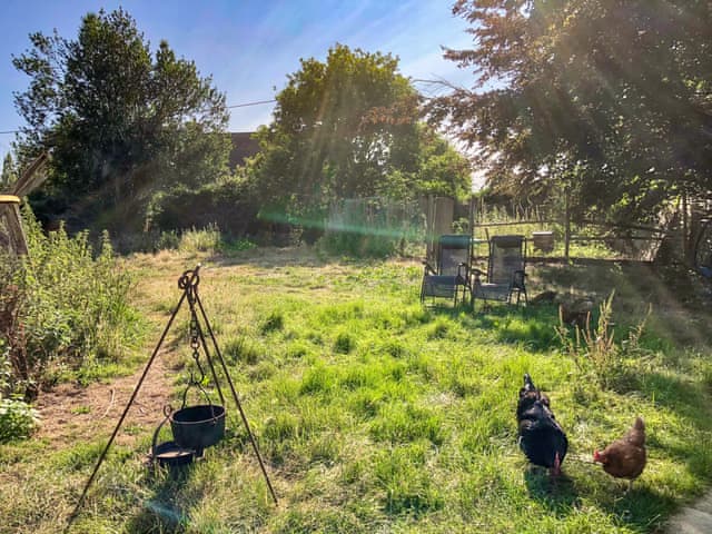 Outdoor | Romney Wagon, Hailsham