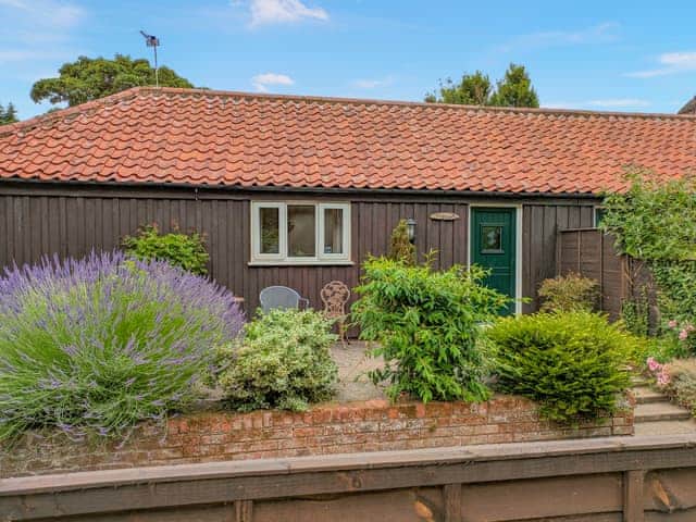 Pinewood enclosed garden | Pinewood - Thorpewood Cottages, Thorpe Market