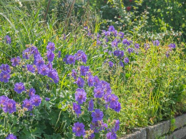 Surrounding area | Bluebell - Clapham Holme Farm Cottages, Great Hatfield, near Hornsea